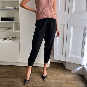 Aritzia Babaton Dexter Pant (Black, M)